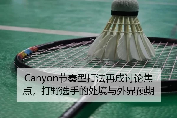 Canyon节奏型打法再成讨论焦点，打野选手的处境与外界预期